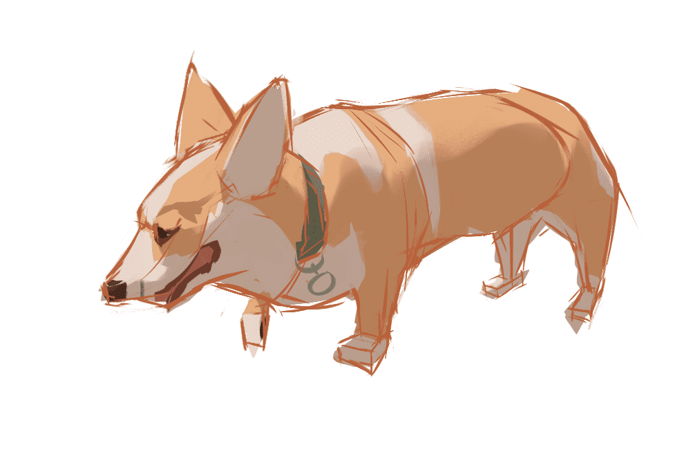 draw a realistic dog step 5