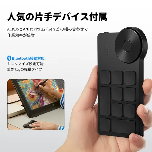 Artist Pro 22 (Gen2) 2.5K【コスパ最高モデル】22インチ大画面