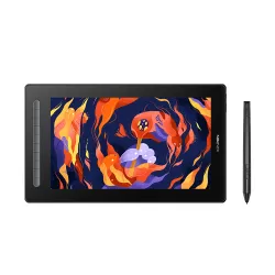 Artist 16 2nd Graphic Display