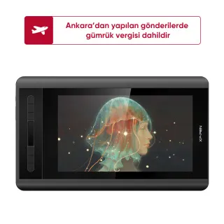 Artist 12 Graphic Display