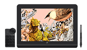 Artist Pro 16 (Gen 2) Drawing Display: 16K Pressure Levels - XPPen